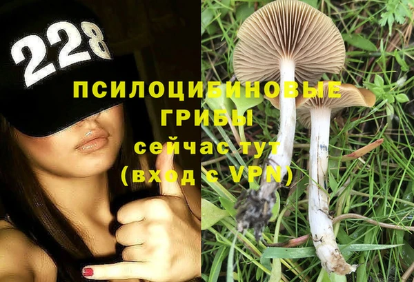 spice Алексин
