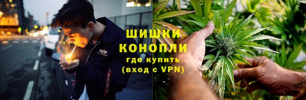 spice Алексин